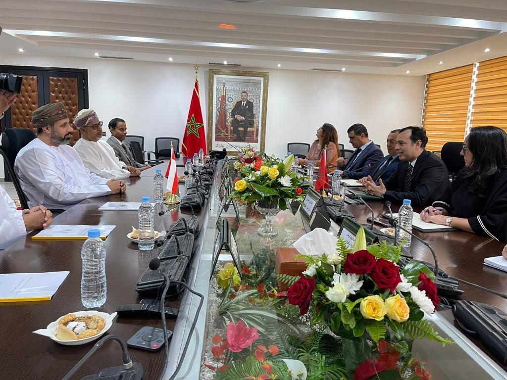 His Excellency the Minister of Labor meets with His Excellency the Minister of Economic Inclusion, Small Enterprises, Employment and Competencies