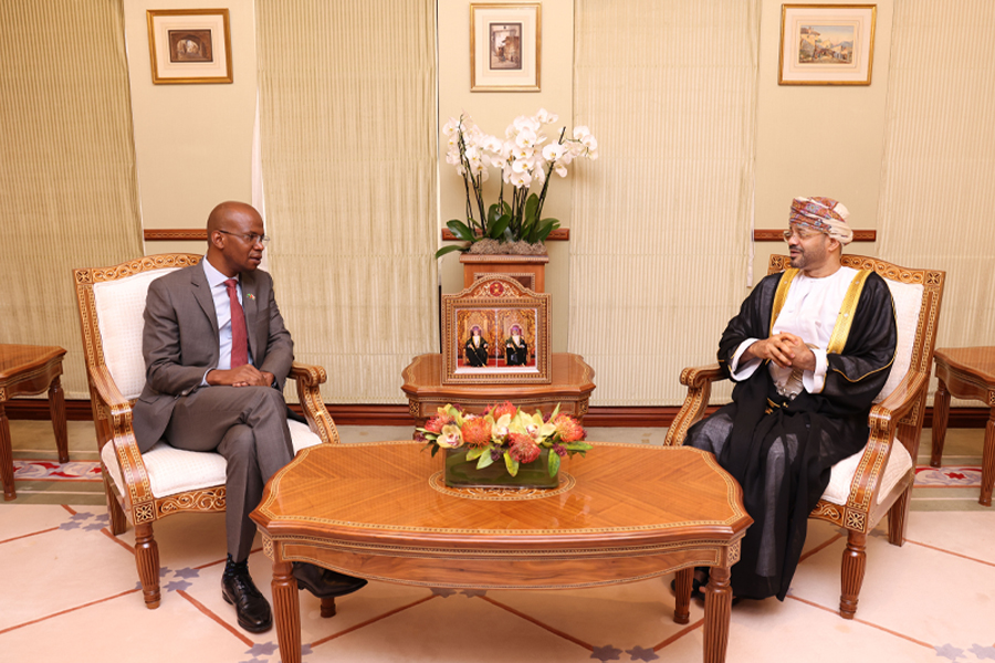 Foreign-Minister-meets-with-Energy-Minister-Tanzania