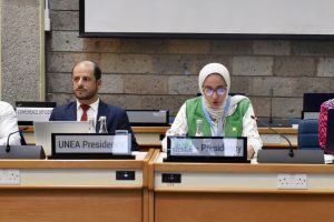 Ambassador to Kenya Chairs meeting of UN environment Assembly