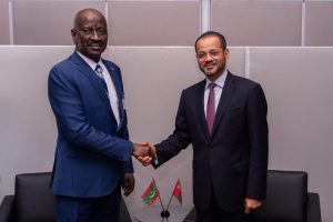 Foreign Minister meets Mauritanian Foreign Minister